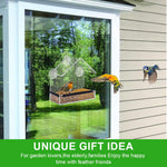 HASTHIP Bird Feeder for Windows with Suction Cups and Perching Rod | Clear Hut Style Design