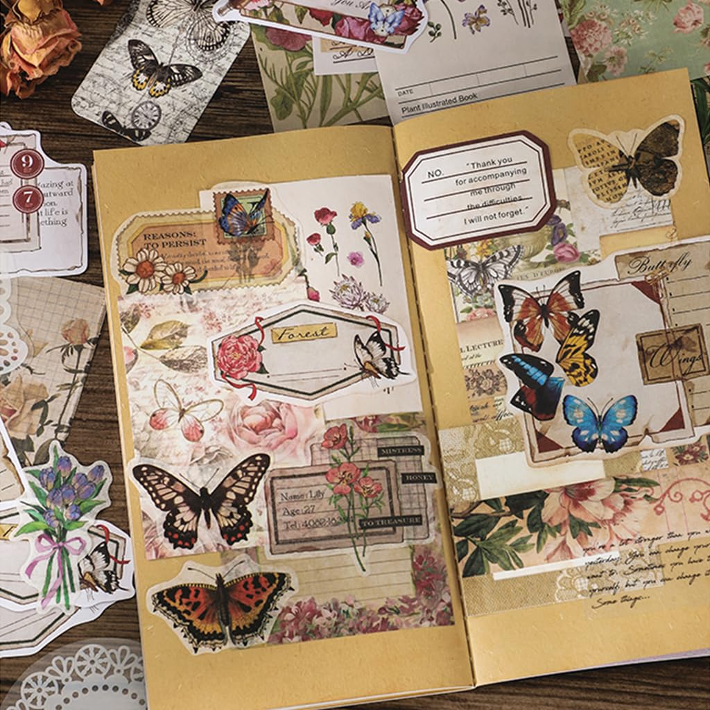 HASTHIP Journaling Supplies Kit for Scrapbook and Planner with 260 pcs Vintage Papers & Stickers