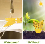 HASTHIP Fruit Fly Trap for Home with Strong Adhesive | 30 Pcs Yellow Sticky Traps