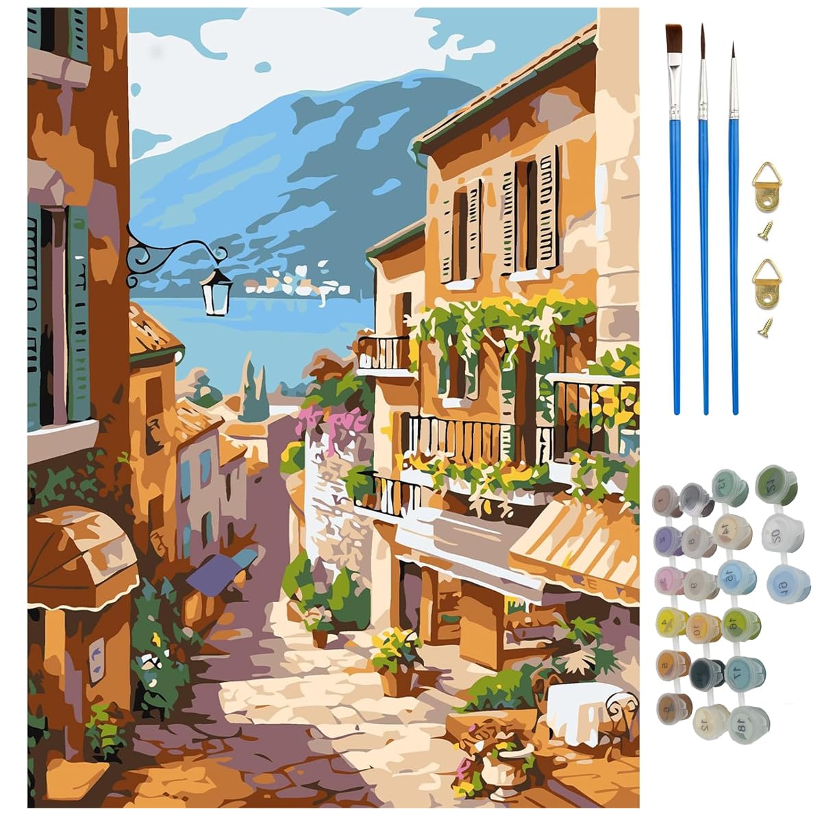 HASTHIP Paint By Numbers Kit for Adults with 16x20 Pre Framed Canvas & Acrylic Paints | European Town Scenery Art for Home Decor and Gift