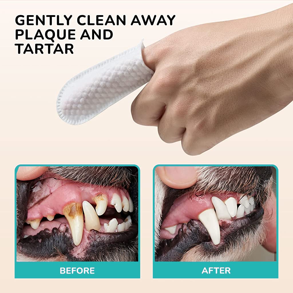 HASTHIP® Toallitas Dentales para Perros y Gatos 50 Uds,Toallitas de Limpieza Dental con Menta,para Dientes de Mascotas Elimina Placa y Mal Aliento Cuidado Oral Natural con Aloe