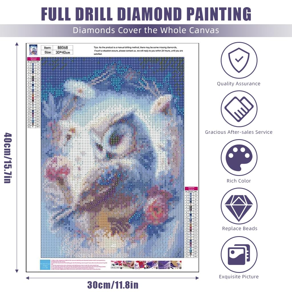 HASTHIP Diamond Painting Kit for Home Decor including 11.8x15.7in Owl Art | Gift for Kids & Adults