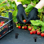 HASTHIP Plastic Landscape Staples for Garden Fabric Securing 100 pcs 11 cm | UV-Resistant Barbed Design