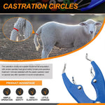 HASTHIP Livestock Castration Bander with 100 Castrator Rings featuring Metal Frame & Plastic Handles for Lambs and Piglets | 21.5cm Tail Docking Tool