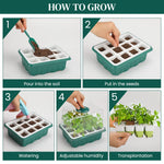 HASTHIP Seed Starter Tray for Germination with 12 Silicone Pots and Ventilation Lid | Includes Drip Tray and Seeding Tools