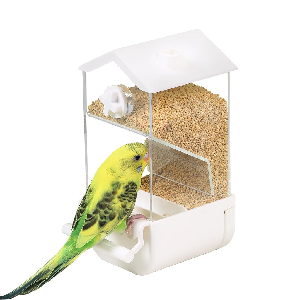 HASTHIP® No Mess Parrot Automatic Feeder Anti-Scattering Bird Feeder for Cage Bird Food Bowl