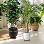 HASTHIP Pencil Case for Students with Double Zipper Compartments 22x11cm | Canvas 3 PCS