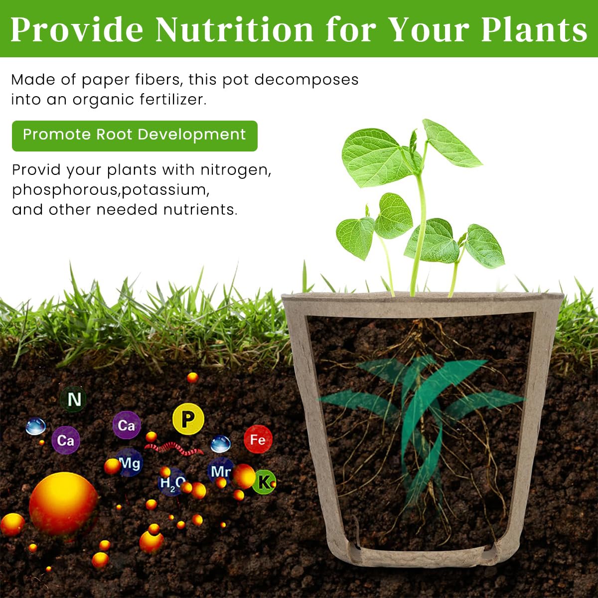 HASTHIP Nursery Seedlings Peat Pots for Garden Starters with Drainage Holes 20pcs | Organic Paper Pulp Biodegradable Cups