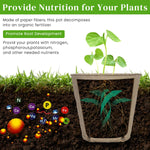 HASTHIP Nursery Seedlings Peat Pots for Garden Starters with Drainage Holes 20pcs | Organic Paper Pulp Biodegradable Cups