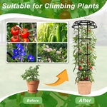 HASTHIP Upright Trellis for Climbing Plants with Hollow Roof Design and 135 cm Height | Steel Frame Adjustable Support for Indoor and Outdoor Gardening