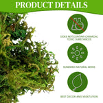 HASTHIP Realistic Moss for Planter Decoration with Lifelike Texture 200g Dark Green 2PCS
