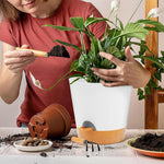 HASTHIP Self Watering Planters for Indoor and Outdoor Use featuring Drainage Holes and 6 Size Options | Recyclable Plastic Pots with Saucers in White