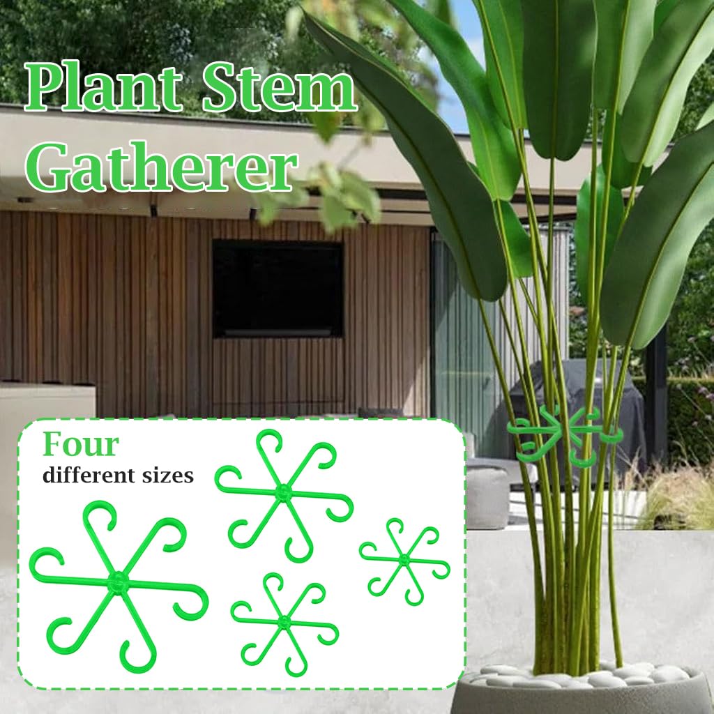 HASTHIP Plant Climbers for Houseplants 4 Pack with 6 Claw Plastic Stem Support Clips | Secure Growth