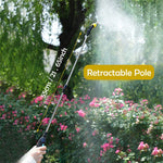 HASTHIP Electric Garden Sprayer for Agriculture with 12L Tank and Telescopic Wand | USB Rechargeable Pump with 4 Nozzles