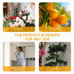 HASTHIP Garden Scissors for Pruning and Harvesting with Spring Loaded Mechanism and Rubberized Handle