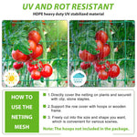 HASTHIP Trellis Netting for Climbing Plants with 18 Nylon Strands and 4x4 in Grid | 2 Pcs Set