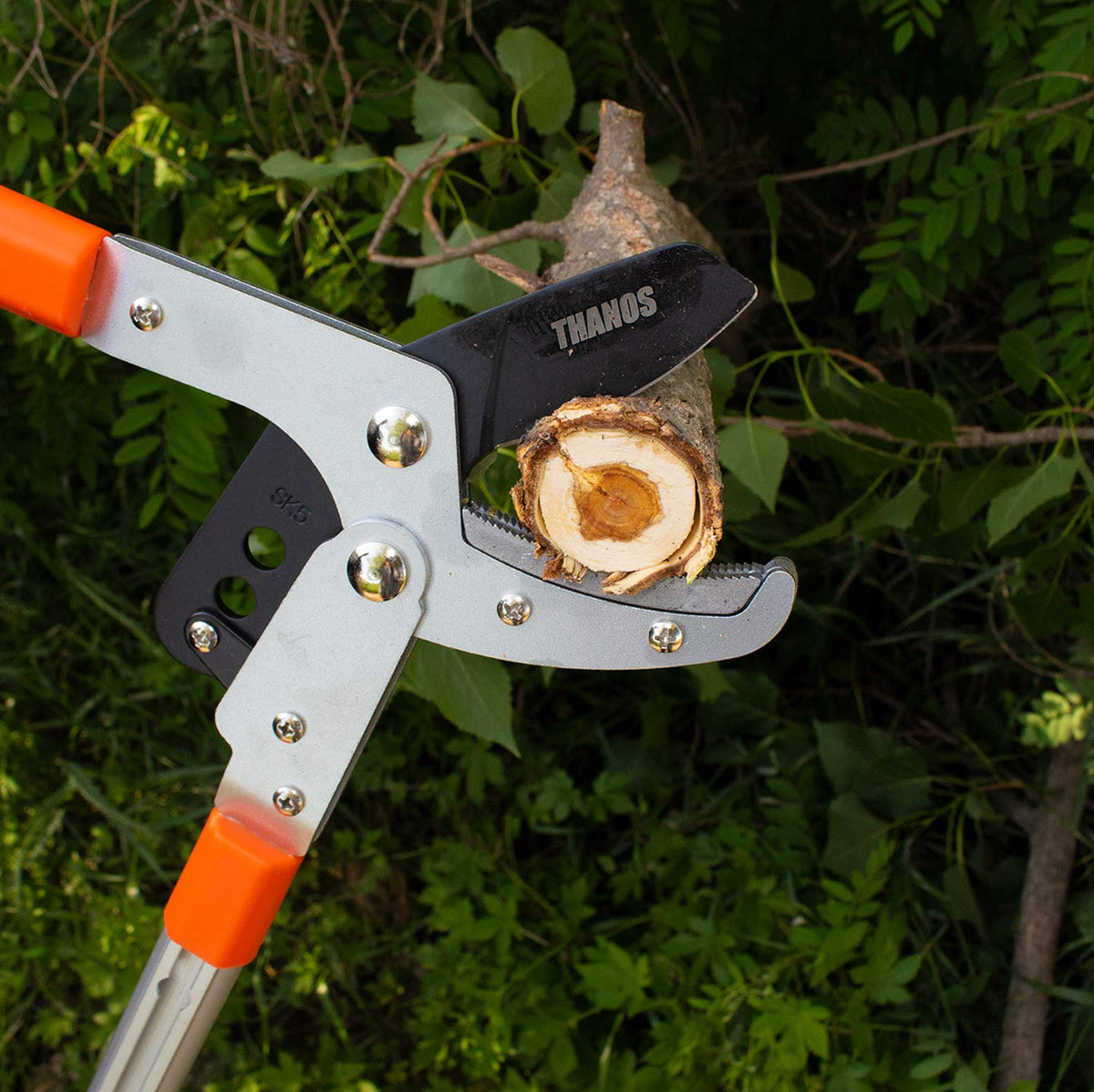 HASTHIP Branch Cutter for High Tree Pruning with 27–40 in Telescopic Handle and SK5 Steel Blade