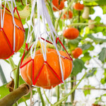 HASTHIP Fruit Hammock Mesh Net for Trellis Gardening with Drawstring Closure | 30 Pcs 54 cm Polypropylene Bags