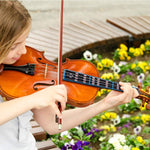HASTHIP Violin Finger Guide for 4/4 Beginners with Easy Install Sticker Chart | Fretboard Learning Aid