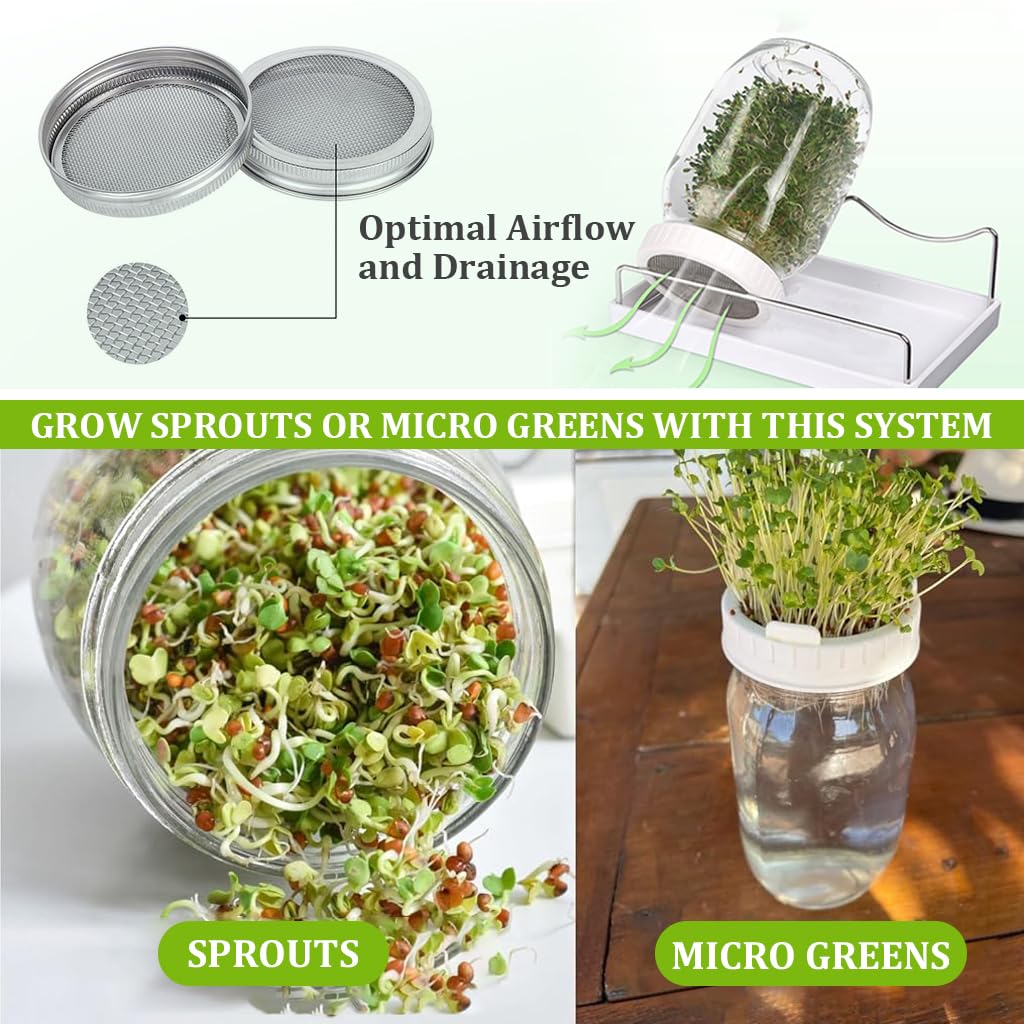 HASTHIP Seed Sprouting Jar Kit for Homemade Bean Sprouts with 32oz Glass and Stainless Steel Mesh Lid | Light Shield Sleeve and Stand