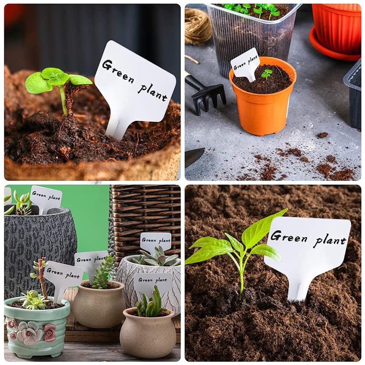 HASTHIP Plant Labels for Gardening with 100 pcs 10 cm PP Tags | Reusable White Name Tags