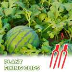 HASTHIP Plant Training Forks for Bonsai Tomato and Vine Support 100 Pcs 2 Inch Red Set