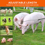 HASTHIP Animal Control Catch Pole with 66cm Adjustable Steel Cable Loop and 26in Design | Humane Stainless Steel Tool for Dogs Goats and Small Livestock