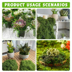 HASTHIP Artificial Moss for Crafts and Table Centerpieces featuring 100 g Cotton Green Decor | Low Maintenance Faux Moss for Potted Plants