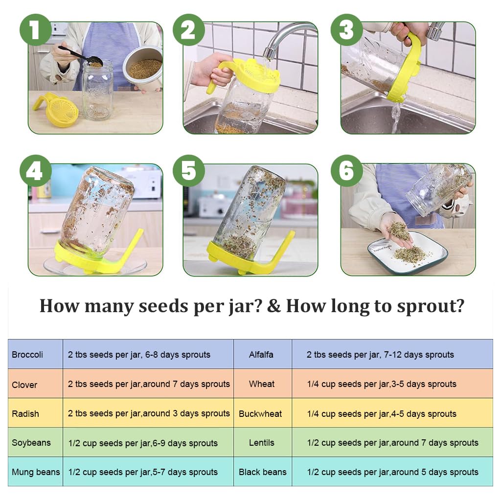HASTHIP Sprouting Mason Jar for Homemade Edible Seeds with 32 oz Glass Body and Ventilated Mesh Lid | Includes PP Handle