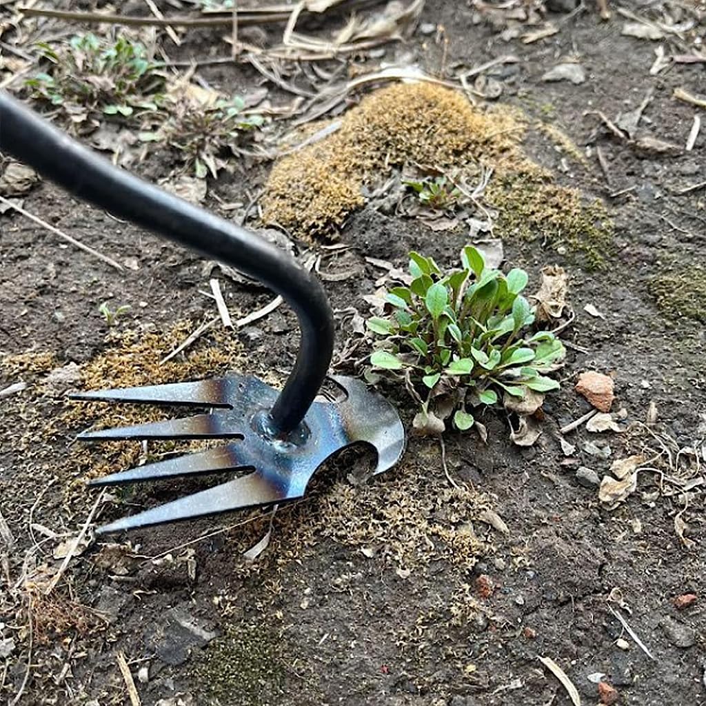 HASTHIP Weeder Hand Tool for Garden and Lawn Weeding 35cm Steel 4-Claw Puller | 2 PCS