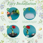 HASTHIP Acrylic Flower Frog for Ikebana and DIY Bouquets featuring Spiral Stem Holder | Clear L