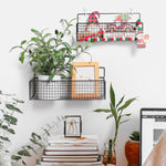 HASTHIP Kitchen Organizer Basket Set 2Pcs for Wall Mount or Counter Use | Metal Wire 26x13x15 cm and 36x15.5x15 cm