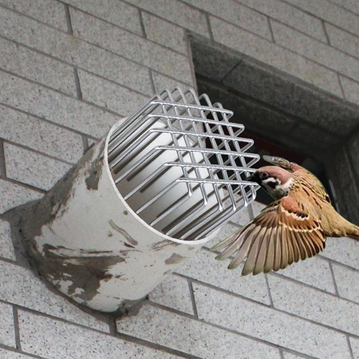 HASTHIP Drain Pipe Rat Stopper for 70mm Pipes with Anti-Rat Grid and 304 Stainless Steel | Rust Resistant Outdoor Drain Guard