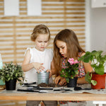 HASTHIP Gardening Tools Kit with 28 pcs Set and Storage Bag for Home Planting | Includes Mat
