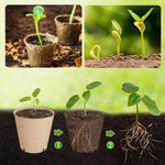 HASTHIP Nursery Seedlings Peat Pots for Garden Starters with Drainage Holes 20pcs | Organic Paper Pulp Biodegradable Cups