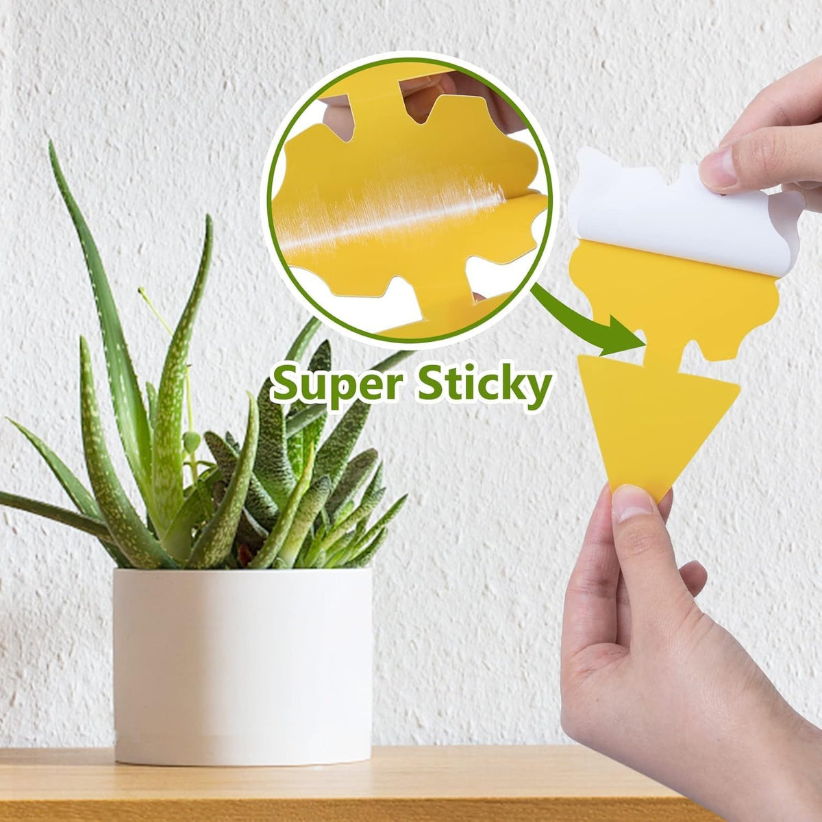 HASTHIP Fruit Fly Trap for Home with Strong Pre-Glued Adhesive 30 Pcs | Yellow Butterfly Design