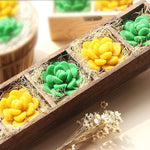HASTHIP Silicone Molds for Succulent Candle DIY Crafts with 2 Pcs 58x55x33 mm | Oven Safe
