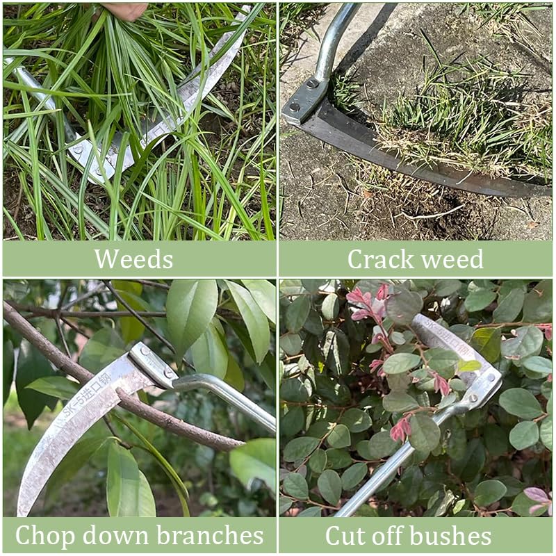 HASTHIP Grass Sickle Cutter Head for Weeding and Harvesting with 37cm Handle featuring Curved Stainless Steel Blade | Ergonomic Wooden Grip