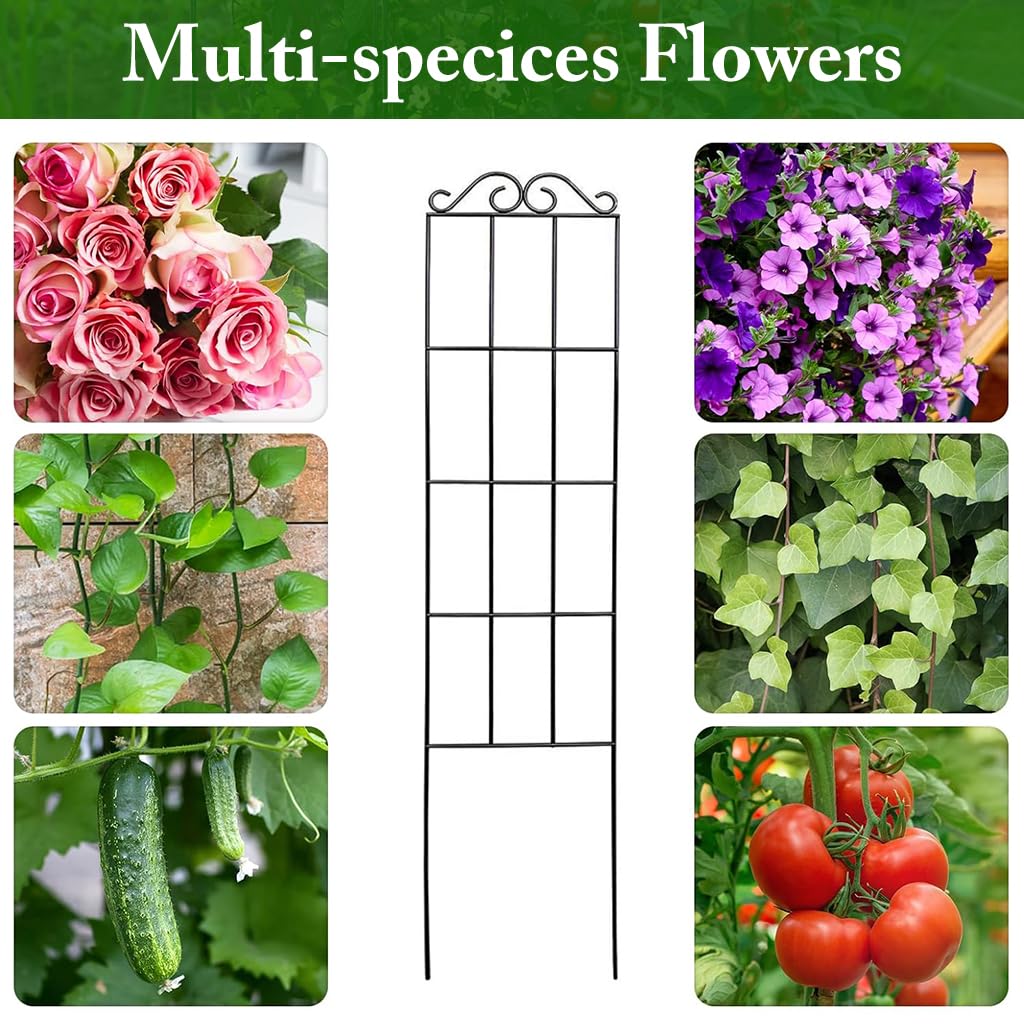 HASTHIP Metal Garden Trellis for Climbing Plants with Insert Support 50x15 cm | Weather‑Resistant 2 Pack
