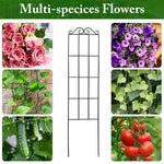 HASTHIP Metal Garden Trellis for Climbing Plants with Insert Support 50x15 cm | Weather‑Resistant 2 Pack