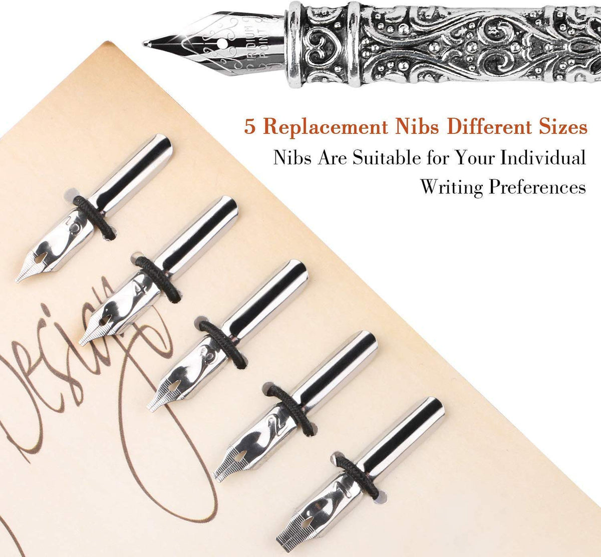 HASTHIP English Calligraphy Feather Dip Quill Pen Set with 5 Nibs and 15ml Ink | Red Gift Box