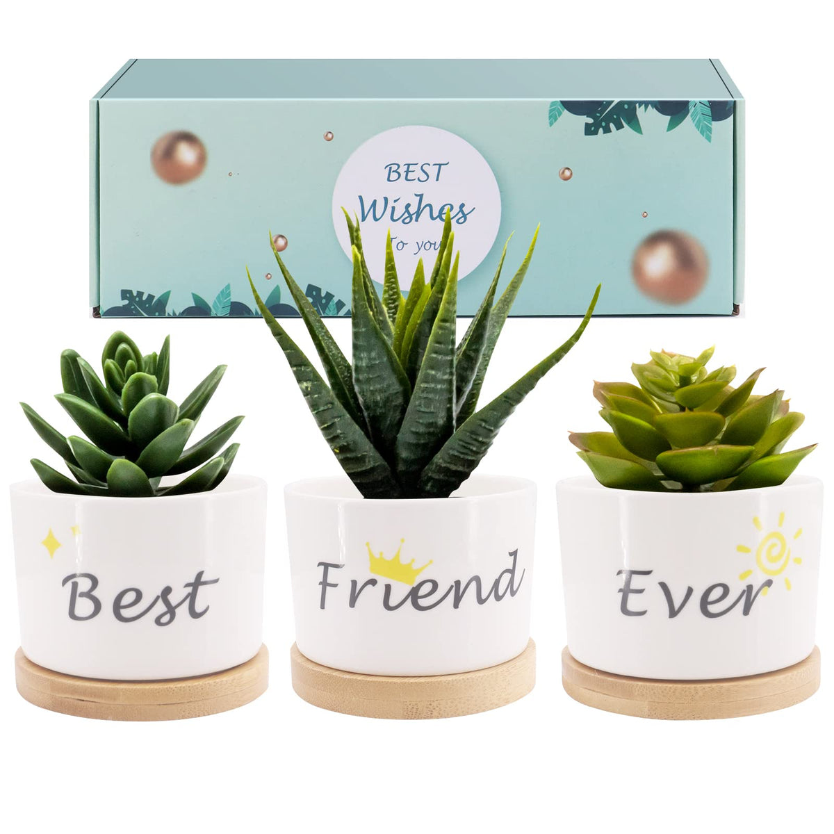 HASTHIP Ceramic Pots for Indoor Plants with Wooden Tray 9cm Set of 3 | Gift for Friends