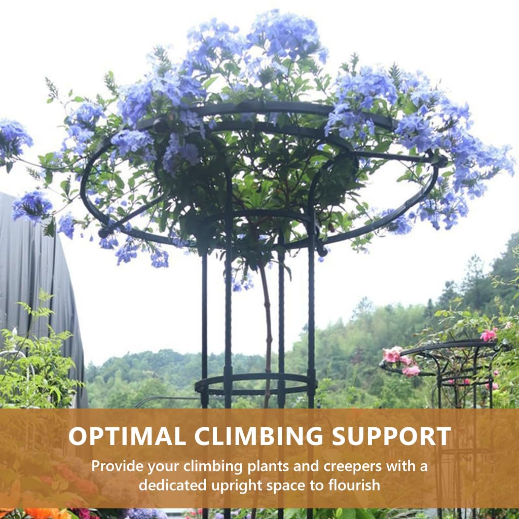 HASTHIP Metal Garden Trellis for Climbing Plants with Hollow Roof Design 95cm Height | Rust Proof Indoors and Outdoors