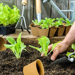 HASTHIP Nursery Seedlings Peat Pots for Garden Starters with Drainage Holes 20pcs | Organic Paper Pulp Biodegradable Cups