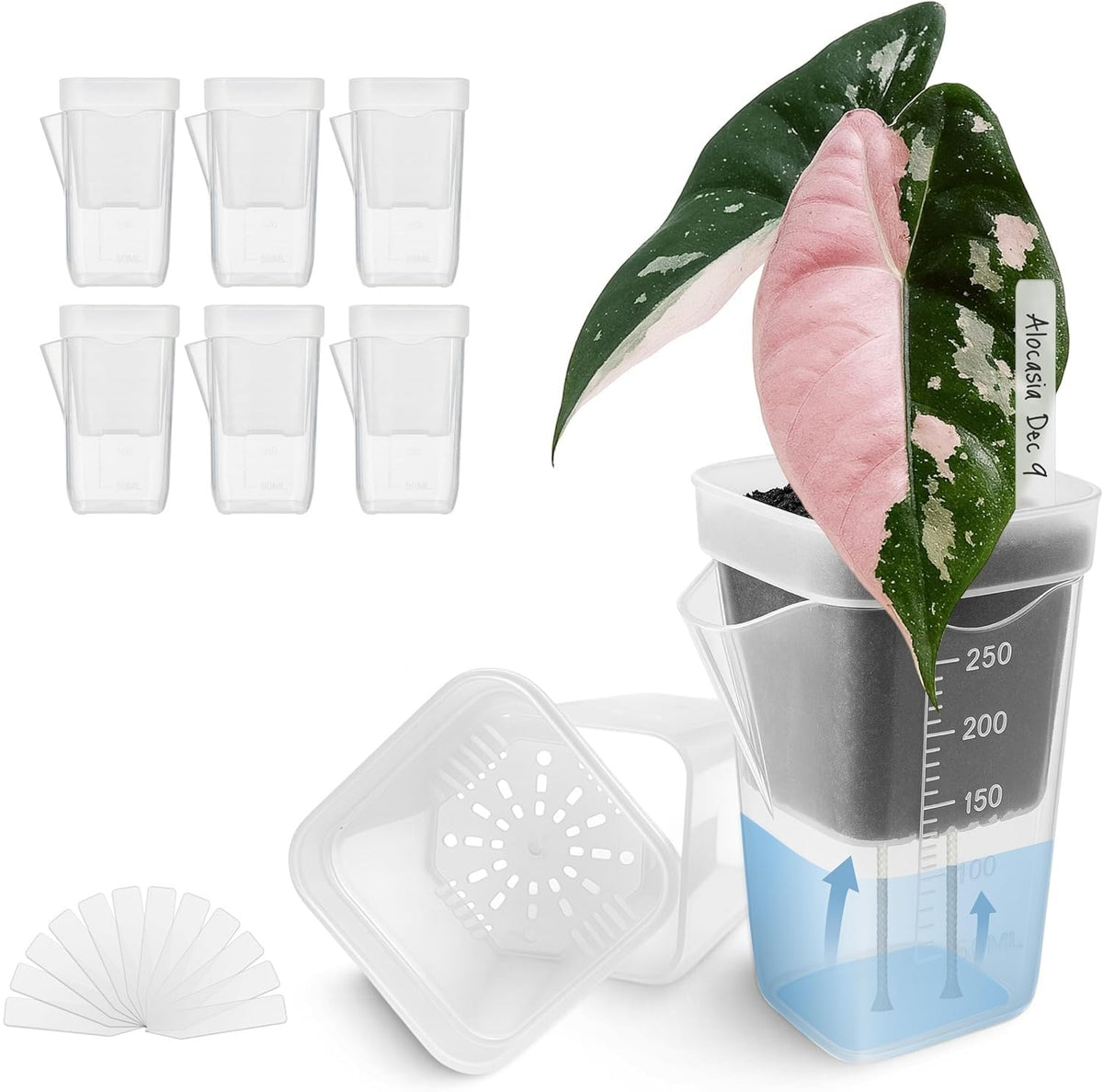 HASTHIP® 6-Pack Clear Seedling Pots, 250ml Transparent Plant Self Watering Cups with Absorbent Cotton Wicks & Ventilation Lids, V-Shaped Pour Spout, Mini Greenhouse Propagation Pots