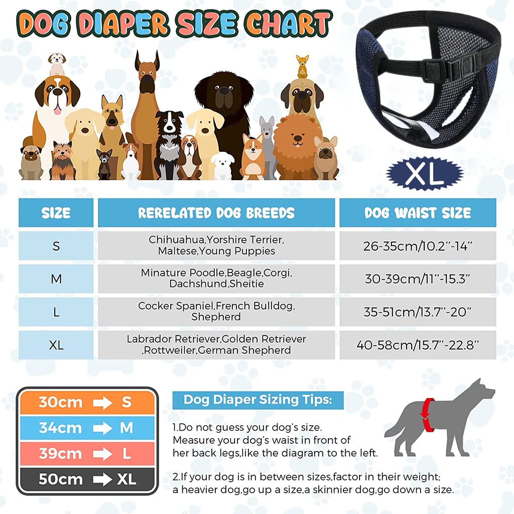 HASTHIP® Breathable Reusable Female Dogs Diapers with 6pcs Absorbption Cotton Pad Comfort Reusable Doggy Diapers for Female Dog, Puppy(Blue, XL, Recommended Waist 16''-21'')