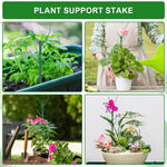 HASTHIP Plant Support Kit for Planters with 10 Frames and 11 in Stakes | Adjustable Circular Design