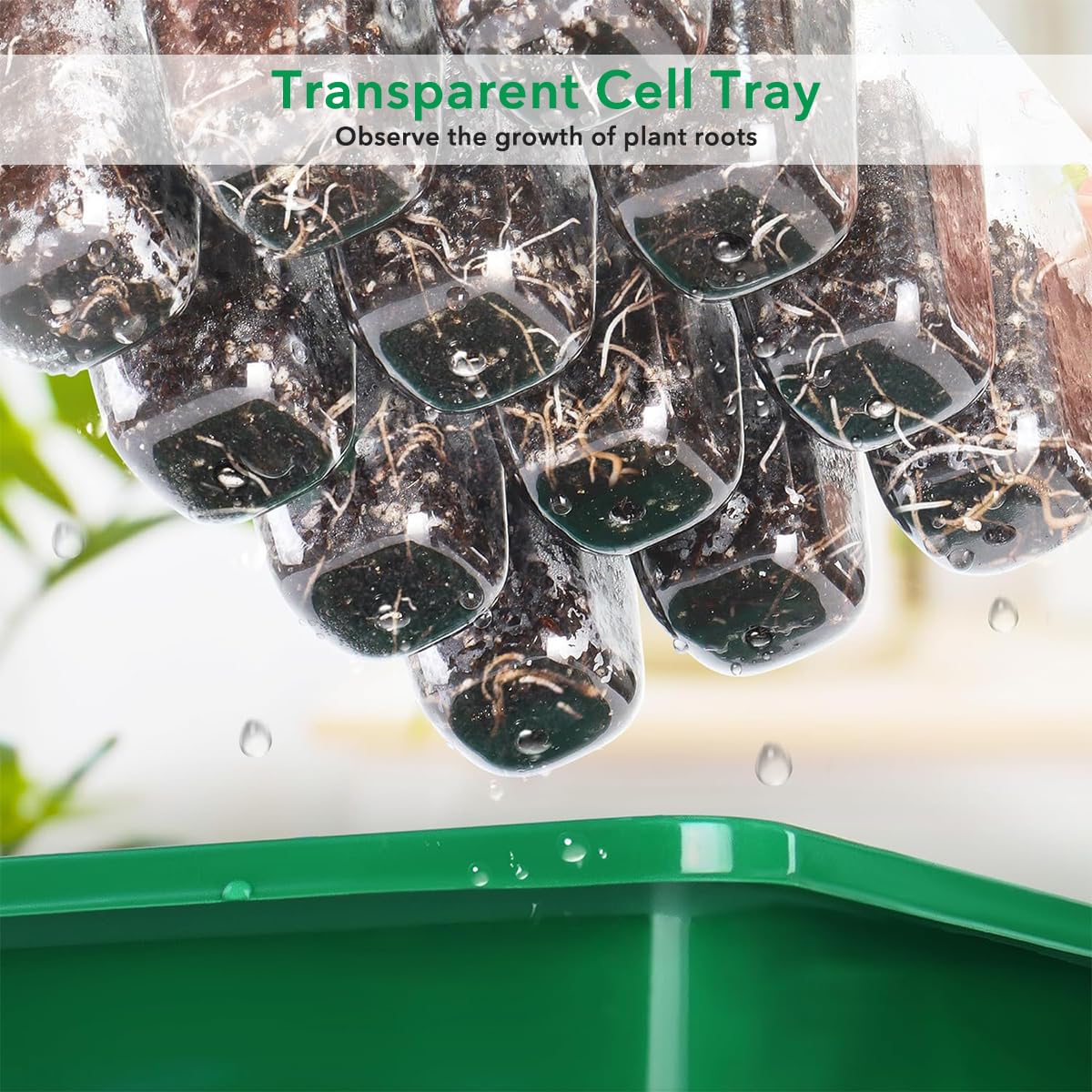 HASTHIP Plastic Seedling Germination Tray for Indoor Gardening with 12 Cell Drainage | 5Pcs Reusable Greenhouse Starter Kit