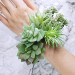 11Pcs Artificial Succulent Plants, Faux Succulent in Flocked Green in Different Type Different Size, Mini Artificial Plants Desk Decor, Computer Desktop Decoration