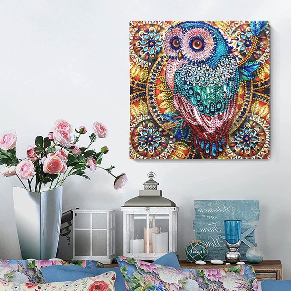 Diamond Painting Kit, 5D Diamond Painting Kit for Adults & Kids, 30 * 30cm Owl Full Drill Rhinestone Embroidery Cross Stitch Pictures Arts Craft for Home Wall Decor (Mandala)